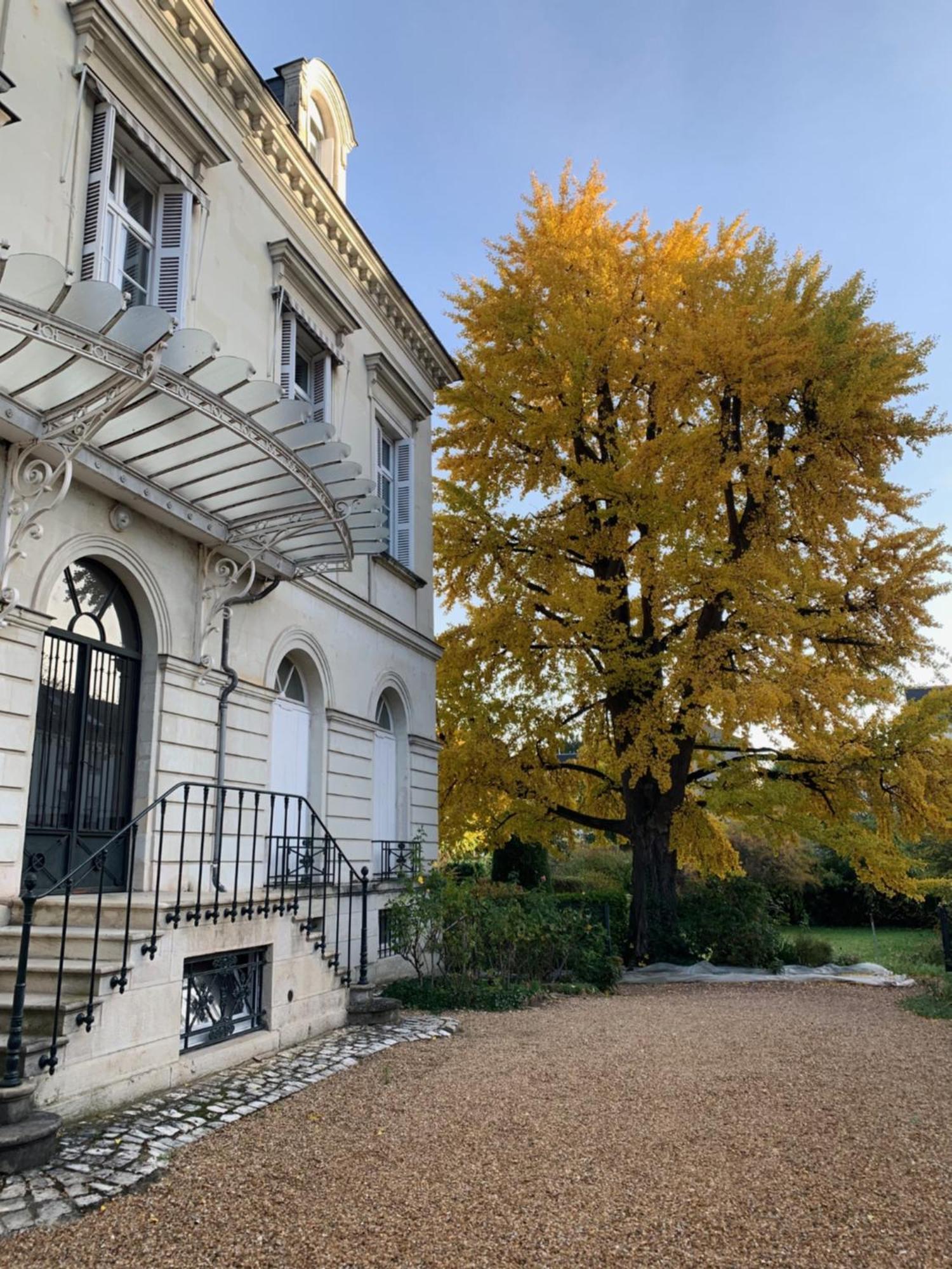 Апартаменты A L'Abri Du Ginkgo Тур Экстерьер фото